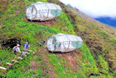 Capsule