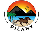 Dilany