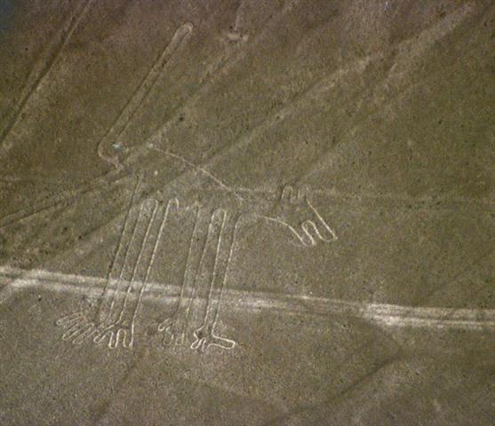 Nazca2