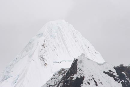 alpamayo1