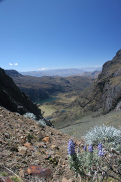 alpamayo26
