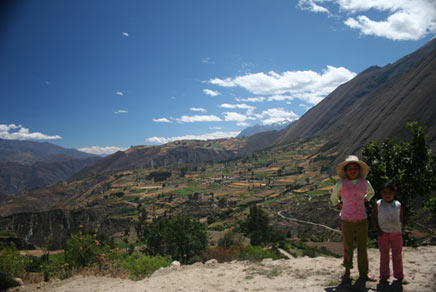 alpamayo3