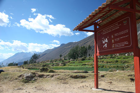 alpamayo5