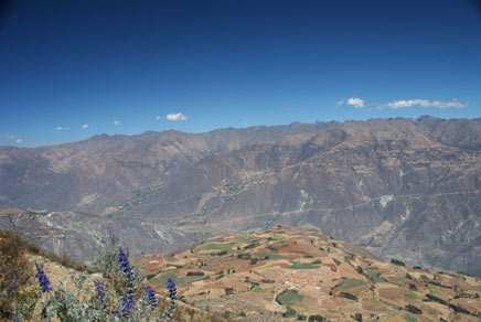 alpamayo7