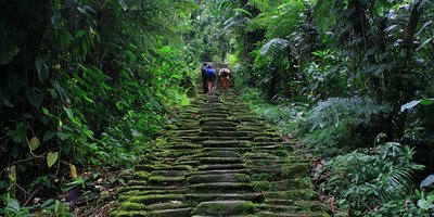 ciudadperdida2