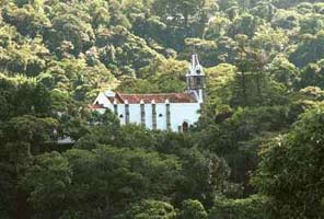 tijuca1