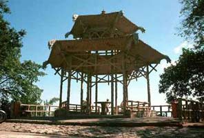 tijuca4